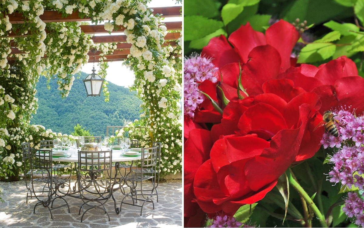 Bed and Breakfast Mugello 2, die Rosen von Antonella (5) Bed and Breakfast Mugello 2, die Rosen von Antonella (5)