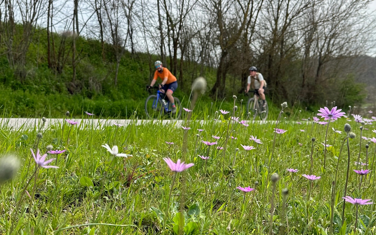 Terre di Pisa Bike Trail (32) | Press trip Ambito Terre di Pisa | Copyright @gravel_union Terre di Pisa Bike Trail (32) | Press trip Ambito Terre di Pisa | Copyright @gravel_union