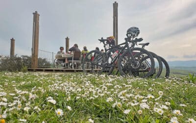 Terre di Pisa Bike Trail (34) | Press trip Ambito Terre di Pisa | Copyright @gravel_union