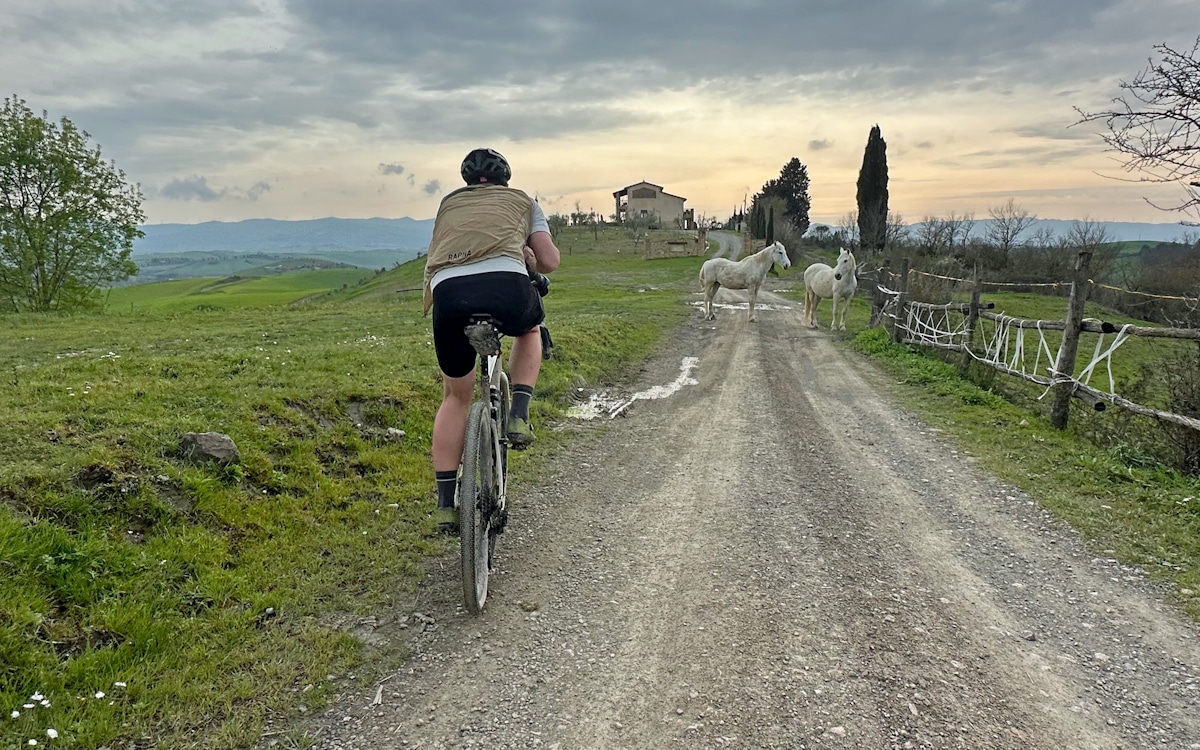 Terre di Pisa Bike Trail (35) | Press trip Ambito Terre di Pisa | Copyright @gravel_union Terre di Pisa Bike Trail (35) | Press trip Ambito Terre di Pisa | Copyright @gravel_union