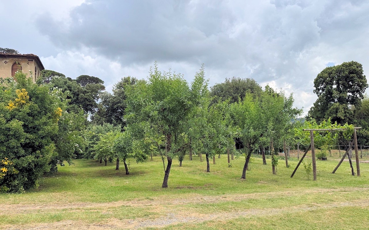 Ferienhaus Camugliano, Pomarium Ferienhaus Camugliano, Pomarium
