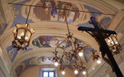 Käseverkostung in der Toskana (38)