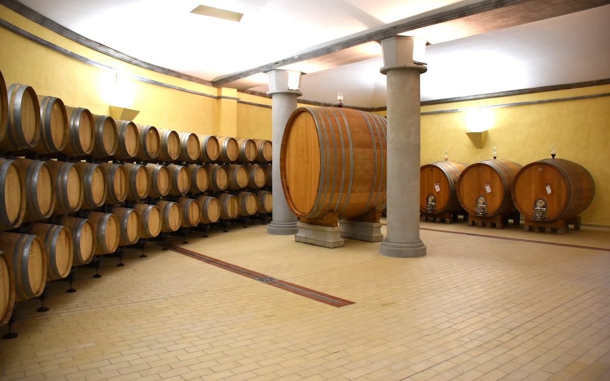 Weinlese in der Toskana (15) Weinlese in der Toskana (15)