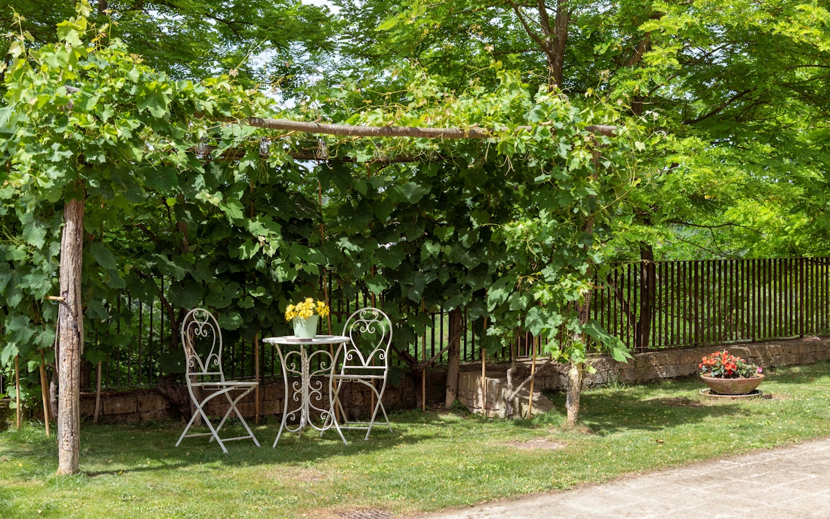 Agriturismo Palaia 3 (11) Agriturismo Palaia 3 (11)