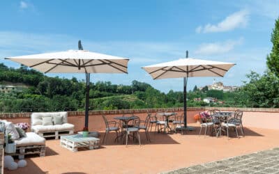 Agriturismo Palaia 3 (2)