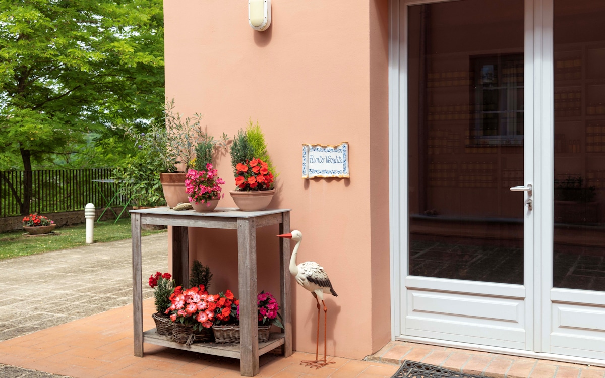 Agriturismo Palaia 3, Bio-Shop (1) Agriturismo Palaia 3, Bio-Shop (1)