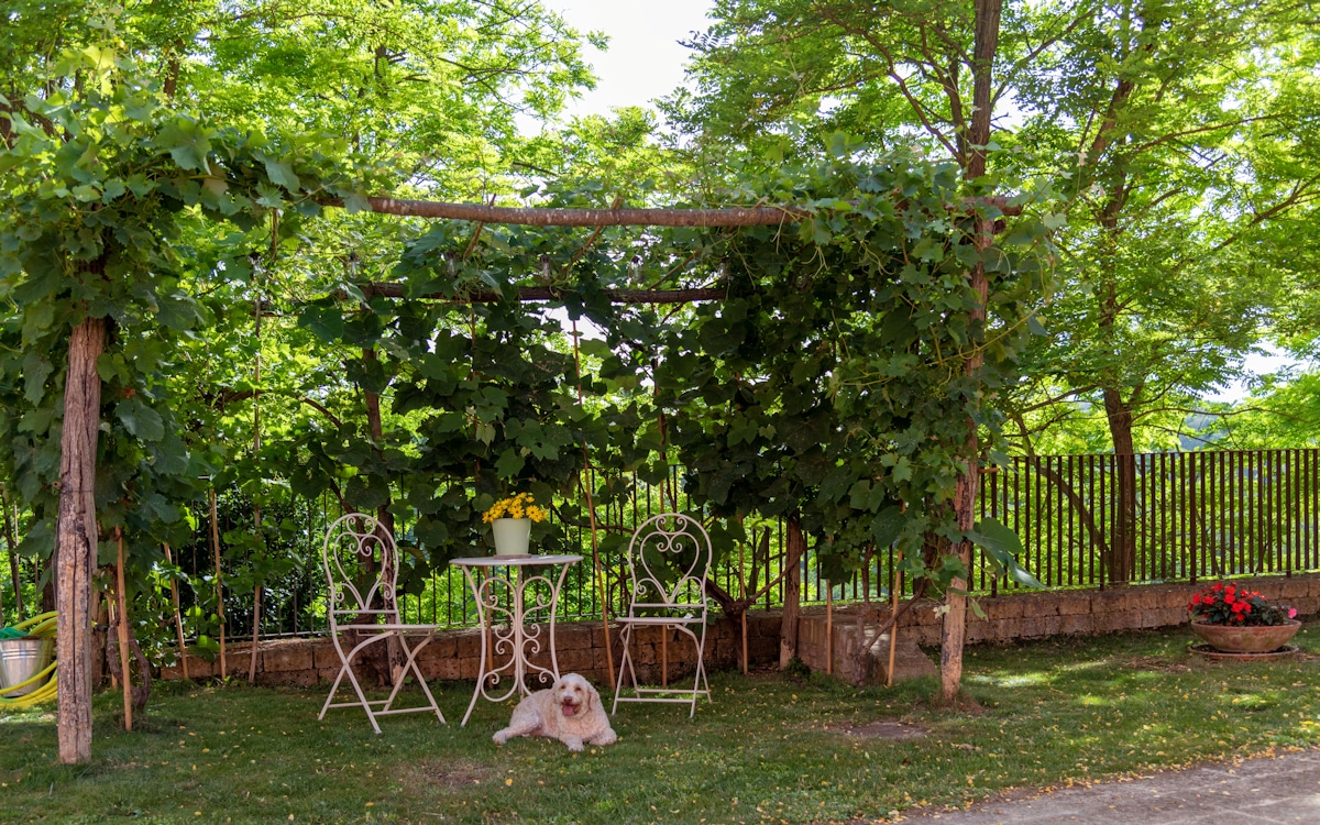 Agriturismo Palaia 3, hundefrendliches Agriturismo Agriturismo Palaia 3, hundefrendliches Agriturismo