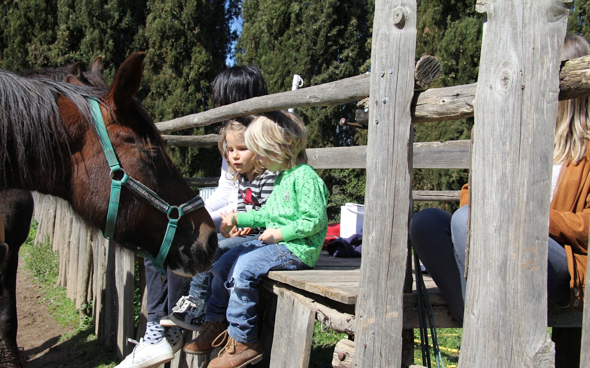 Reiten in der Toskana (10)