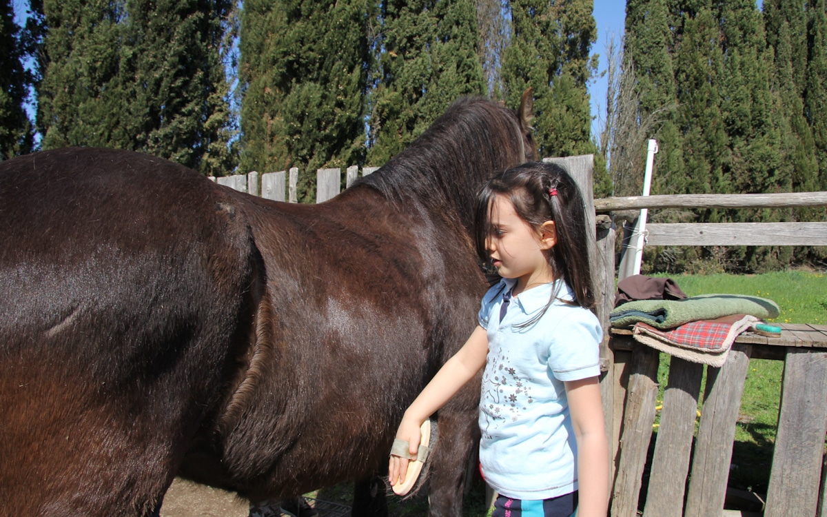 Reiten in der Toskana (14)