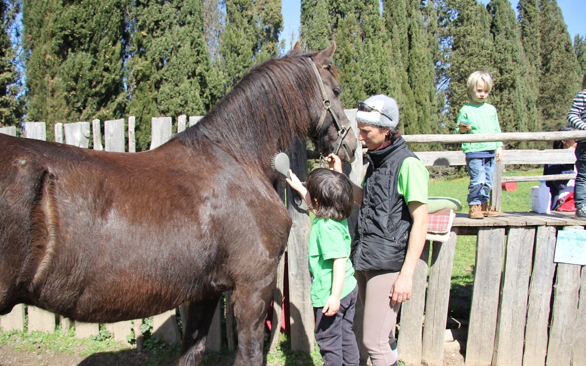 Reiten in der Toskana (16)