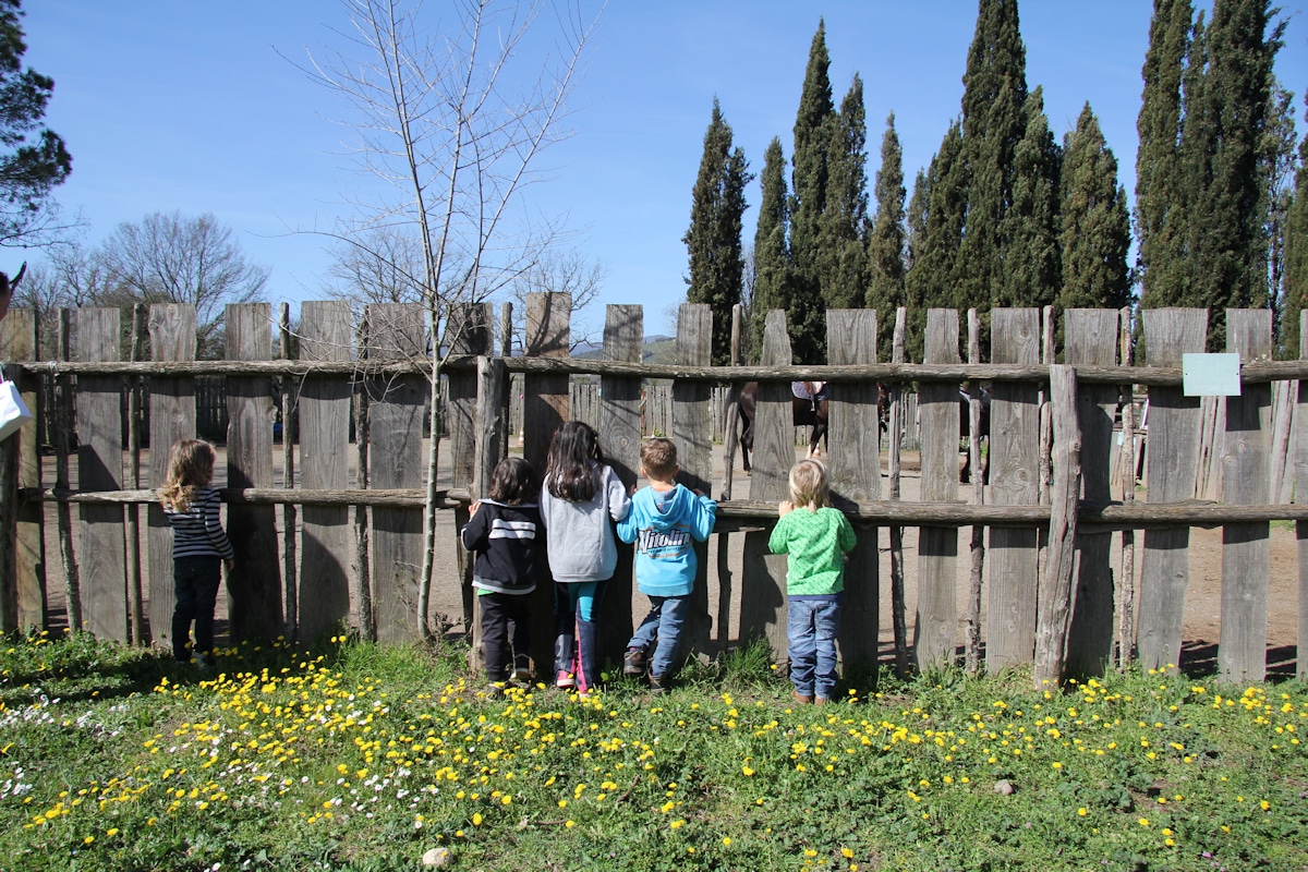 Reiten in der Toskana (7)