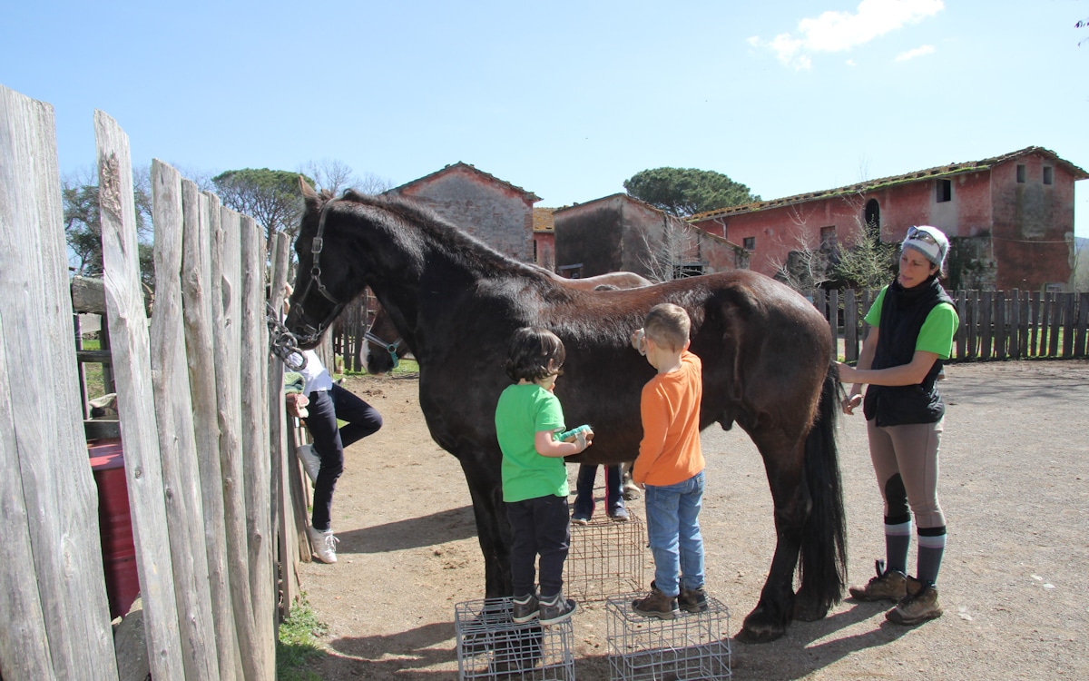 Reiten in der Toskana (9)