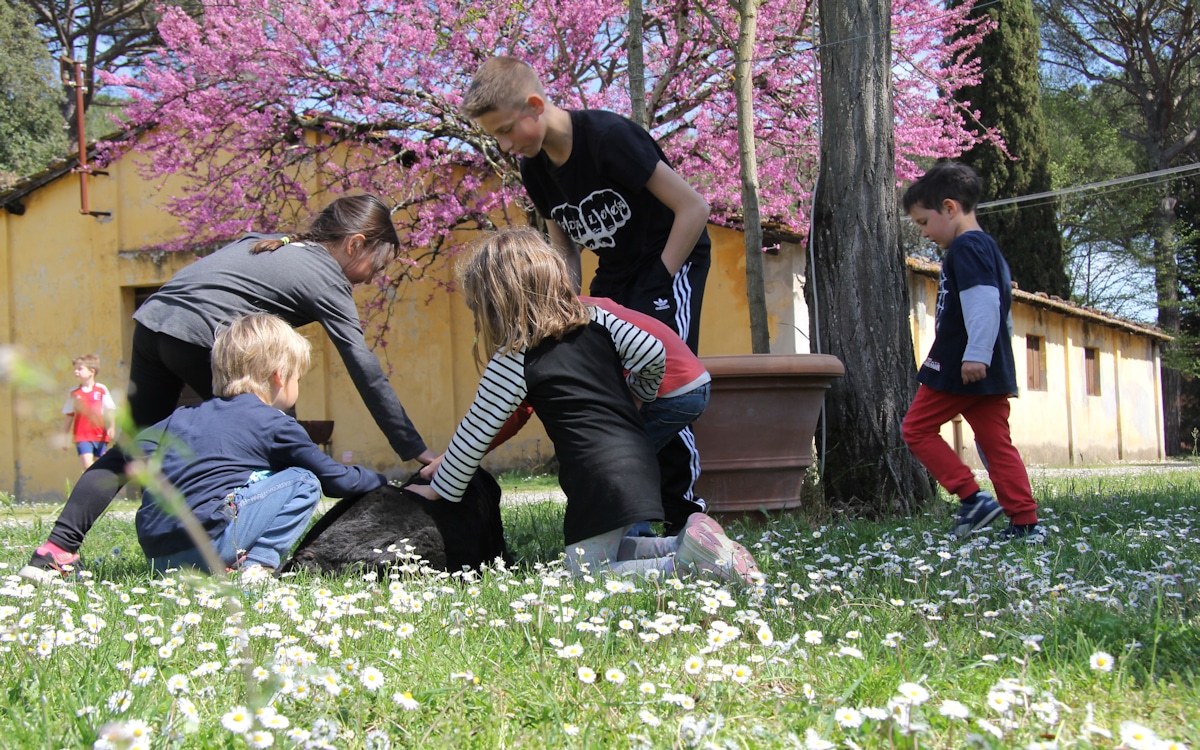 Urlaub auf dem Bio-Bauernhof, Spielen (10) Urlaub auf dem Bio-Bauernhof, Spielen (10)