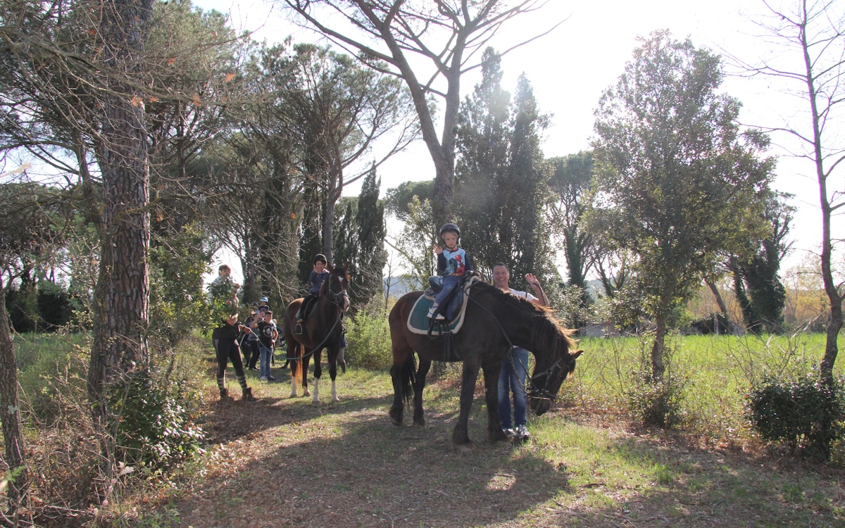 Urlaub auf dem Bio-Bauernhof, Reiten (2) Urlaub auf dem Bio-Bauernhof, Reiten (2)