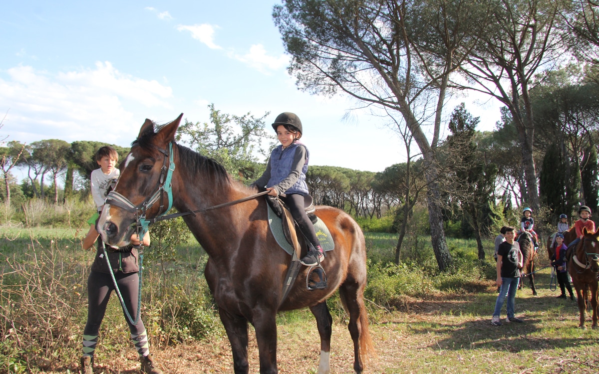 Urlaub auf dem Bio-Bauernhof, Reiten (3) Urlaub auf dem Bio-Bauernhof, Reiten (3)
