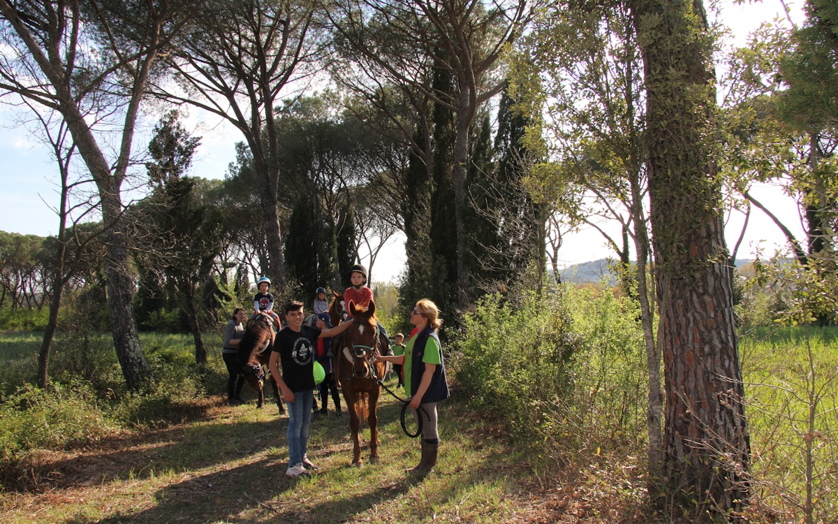 Urlaub auf dem Bio-Bauernhof, Reiten (3) Urlaub auf dem Bio-Bauernhof, Reiten (3)