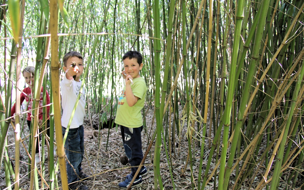 Urlaub auf dem Bio-Bauernhof, Spielen (4) Urlaub auf dem Bio-Bauernhof, Spielen (4)
