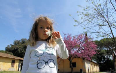 Urlaub auf dem Bio-Bauernhof, Spielen (6)