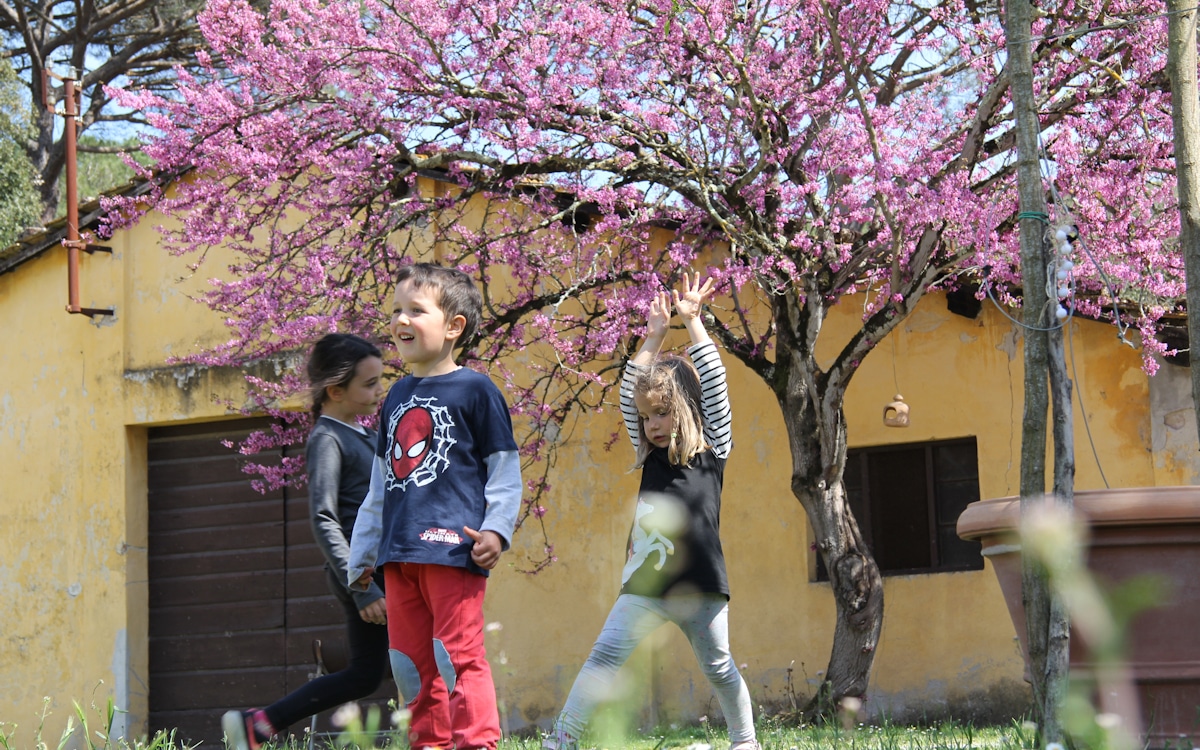 Urlaub auf dem Bio-Bauernhof, Spielen (8) Urlaub auf dem Bio-Bauernhof, Spielen (8)