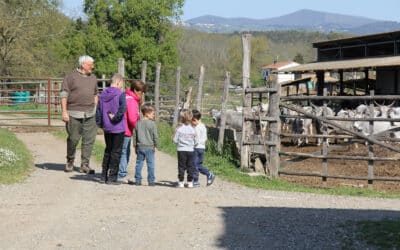 Urlaub auf dem Bio-Bauernhof, Bio-Rinderzucht