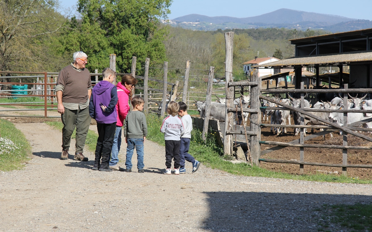 Urlaub auf dem Bio-Bauernhof, Bio-Rinderzucht Urlaub auf dem Bio-Bauernhof, Bio-Rinderzucht