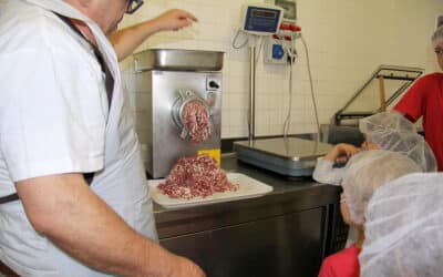Urlaub auf dem Bio-Bauernhof, Erfahrung in der Biometzgerei (8)