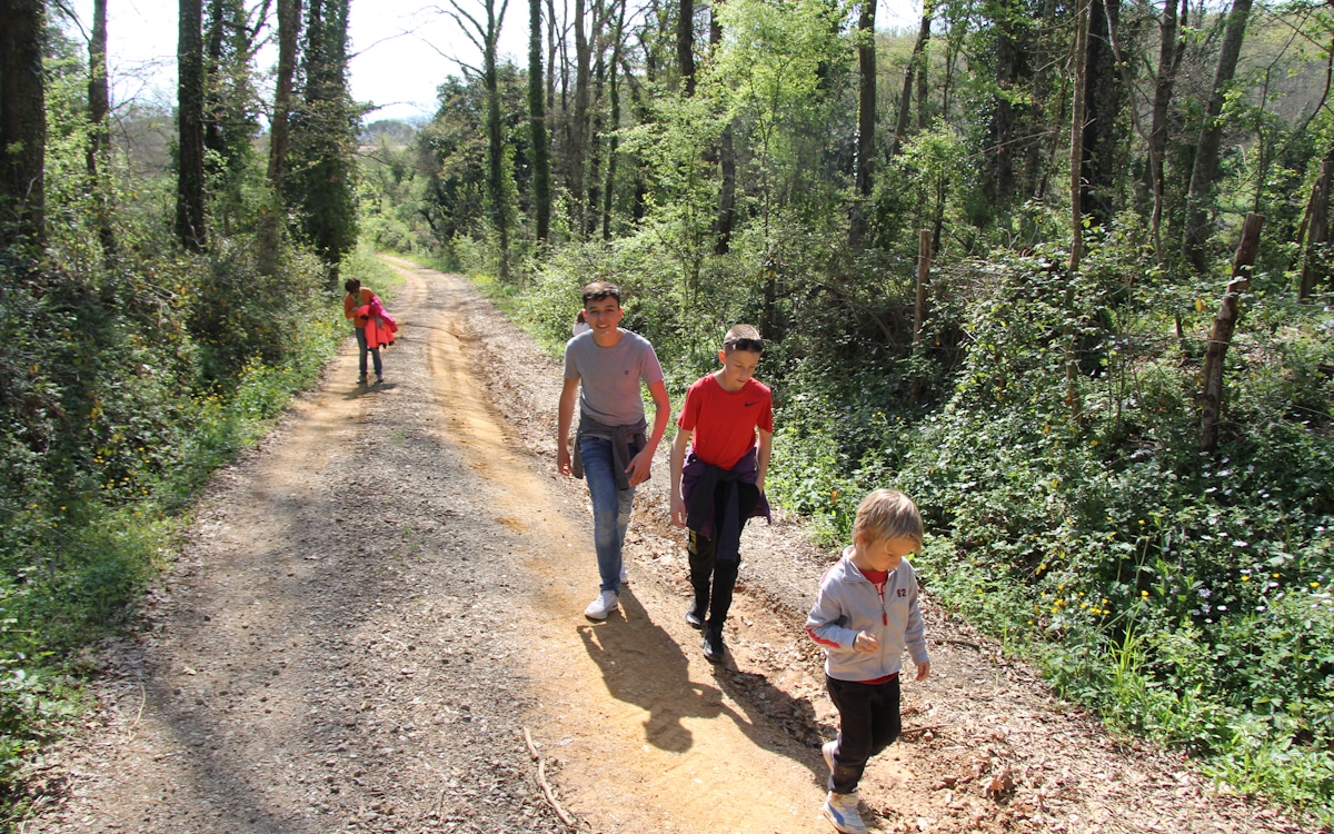 Urlaub auf dem Bio-Bauernhof, Wandern Urlaub auf dem Bio-Bauernhof, Wandern