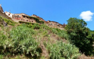 Terricciola Schlucht