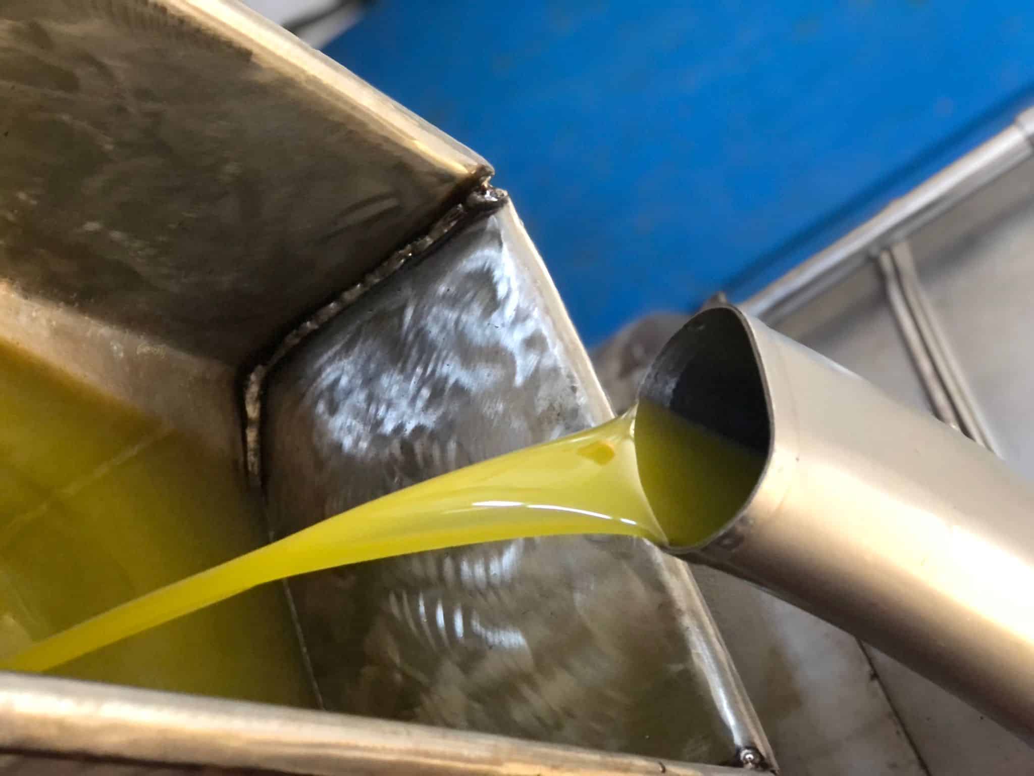 Goldener Oktober in der Toskana |  Olivenöl Extra Vergine Goldener Oktober in der Toskana |  Olivenöl Extra Vergine