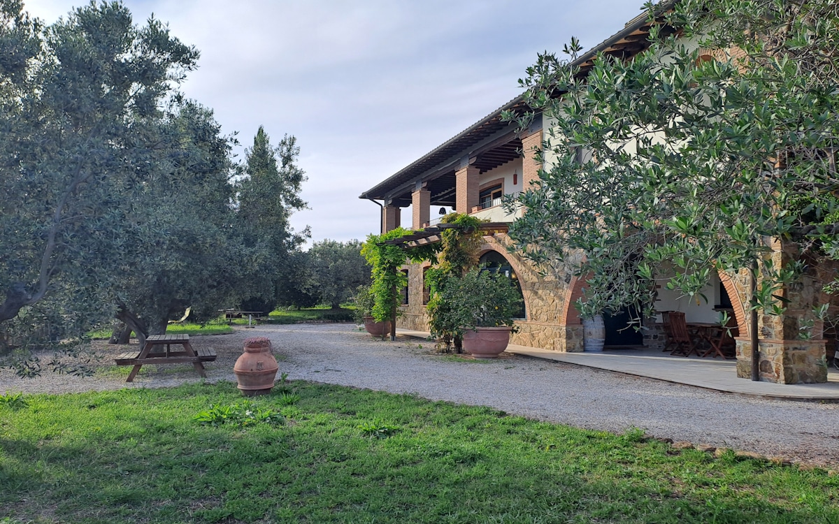 FeWo Piccolo Fassade (2) FeWo Piccolo Fassade (2)