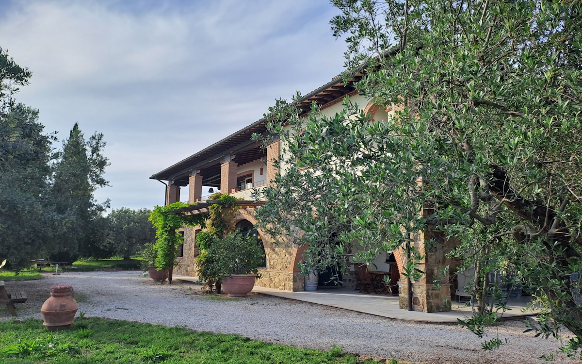 FeWo Piccolo Fassade (3) FeWo Piccolo Fassade (3)