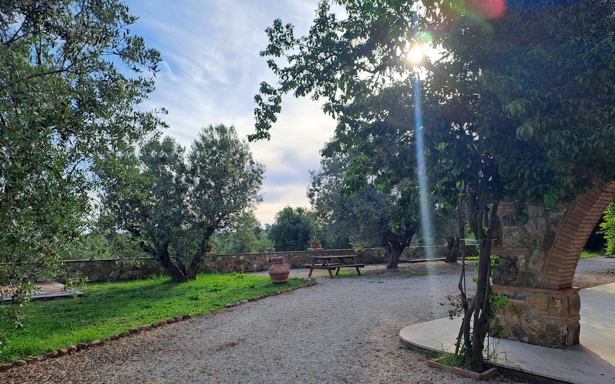 FeWo Piccolo Garten (1) FeWo Piccolo Garten (1)