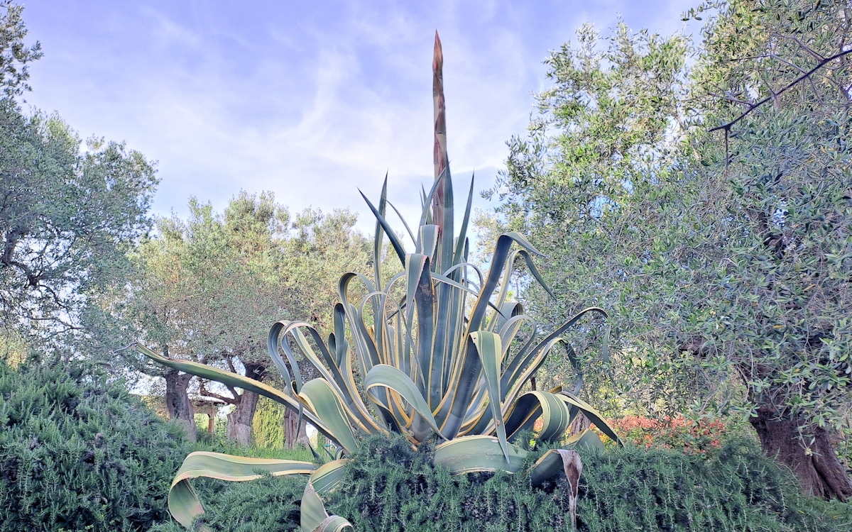 FeWo Piccolo Garten (2) FeWo Piccolo Garten (2)