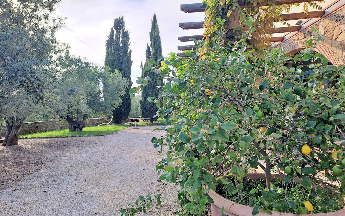 FeWo Piccolo Garten FeWo Piccolo Garten