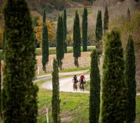 Terre di Pisa Bike Trail 2026 – Impressionen ausgewählter Etappen Terre di Pisa Bike Trail 2026 – Impressionen ausgewählter Etappen