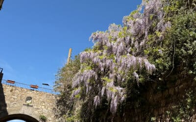 Dorf Giuncarico, Stadtor Detail Dorf Giuncarico, Stadtor Detail