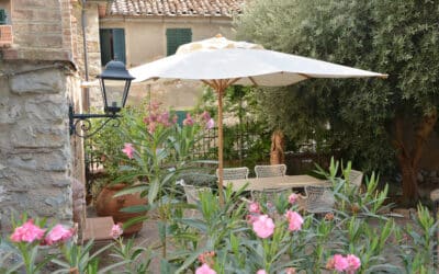 Palazzo Giuncarico, Garten (7) Palazzo Giuncarico, Garten (7)