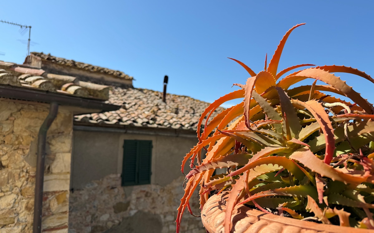 Palazzo Giuncarico, Blick