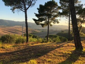Heiratsantrag bei Beppe Heiratsantrag bei Beppe