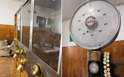 handwerliche Kaffeerösterei in Terricciola (6) handwerliche Kaffeerösterei in Terricciola (6)