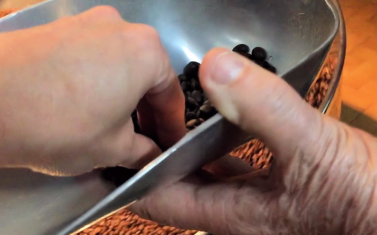 handwerliche Kaffeerösterei in Terricciola
